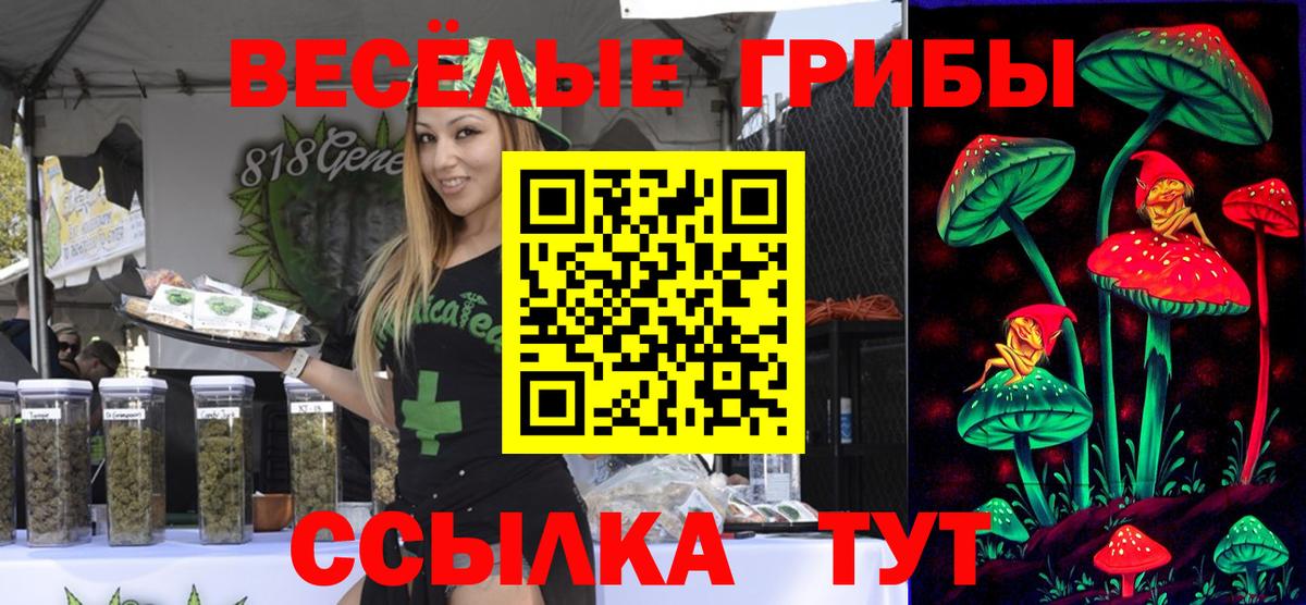 Псилоцибиновые грибы MAGIC MUSHROOMS  цена   Галлюциногенные грибы MAGIC MUSHROOMS  Улан-Удэ  Вход с VPN 
