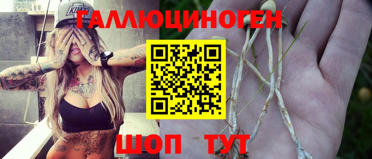 Псилоцибиновые грибы мухоморы Улан-Удэ